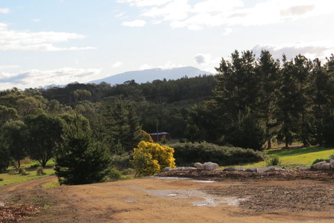 Catherine Lodge Farm Gate Cottages - Great Ocean Road Tourism 19