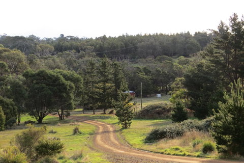 Catherine Lodge Farm Gate Cottages - Great Ocean Road Tourism 20