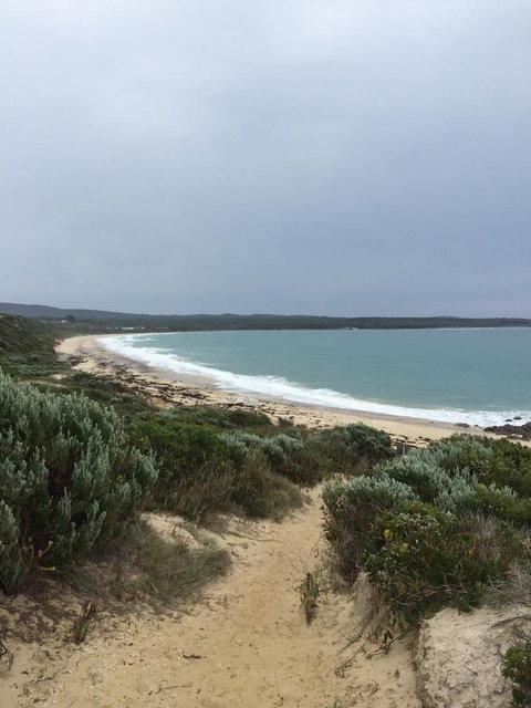 Seaspray - Great Ocean Road Tourism 15