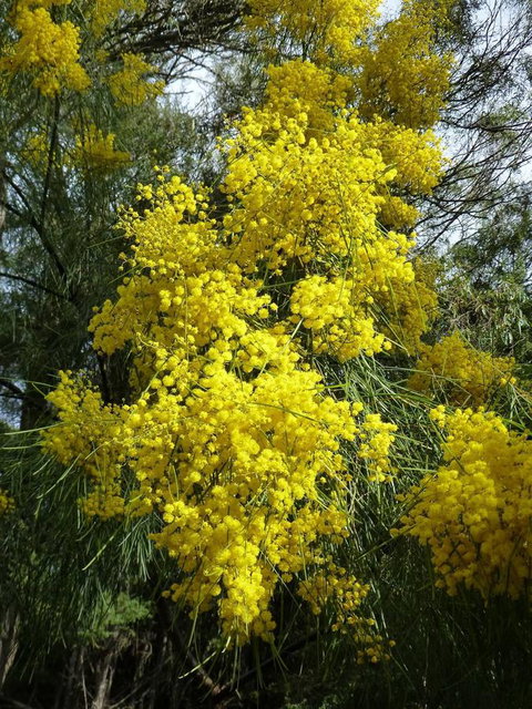 Eagles Rise Tasmania - Great Ocean Road Tourism 29