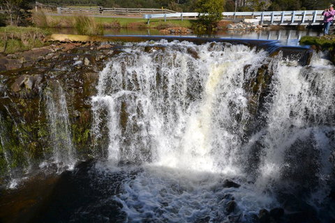 Buttons Cottage For Canyon & Rain Forest Walks With In House Dining - Great Ocean Road Tourism 30