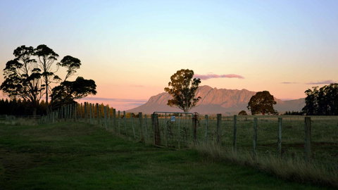 Buttons Cottage For Canyon & Rain Forest Walks With In House Dining - Great Ocean Road Tourism 31