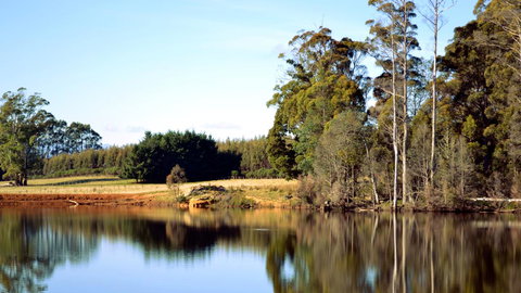Buttons Cottage For Canyon & Rain Forest Walks With In House Dining - Great Ocean Road Tourism 29