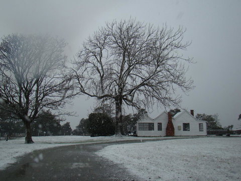 Buttons Cottage For Canyon & Rain Forest Walks With In House Dining - Great Ocean Road Tourism 11