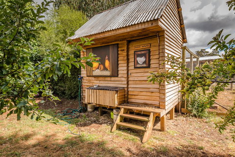 Glencoe Country Bed And Breakfast - Great Ocean Road Tourism 34