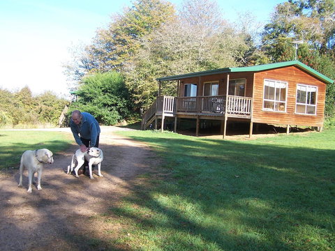 Drumreagh Cabins - Great Ocean Road Tourism 4