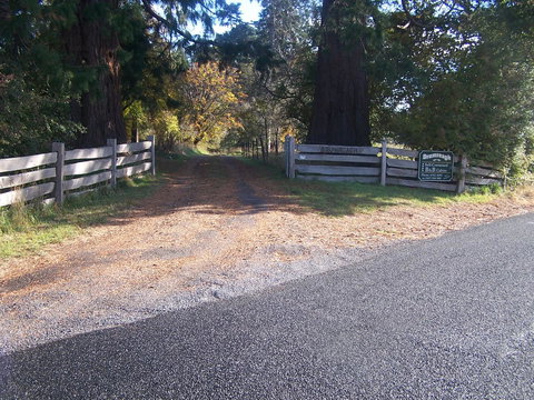 Drumreagh Cabins - Great Ocean Road Tourism 7