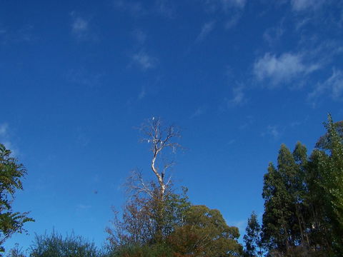 Drumreagh Cabins - Great Ocean Road Tourism 8