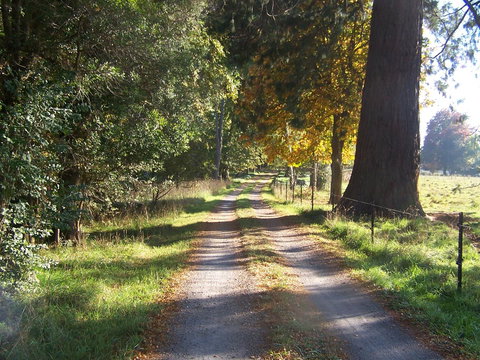Drumreagh Cabins - Great Ocean Road Tourism 5