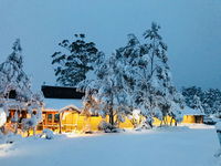 Book Cradle Mountain Accommodation Vacations Great Ocean Road Tourism Great Ocean Road Tourism