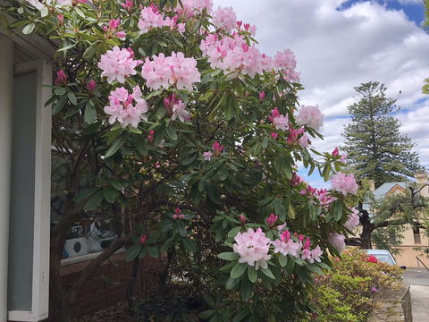 Studio SixA ... A Haven In The Heart Of Hobart - Great Ocean Road Tourism 19