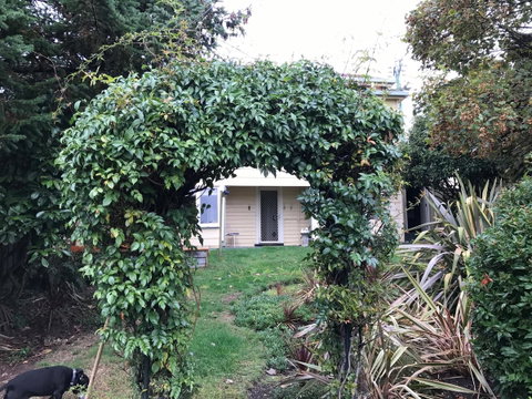 Maple Cottage - Great Ocean Road Tourism 26