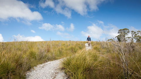 Arthur Riverfront And Sea Lodge Downstream - Great Ocean Road Tourism 35
