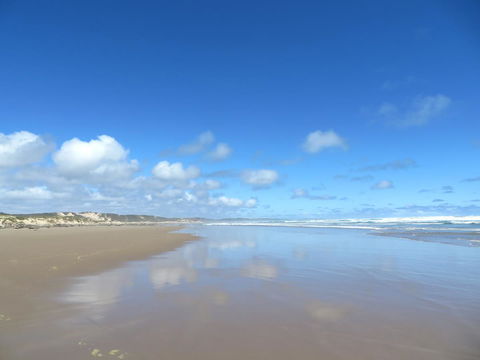 Arthur Riverfront And Sea Lodge Downstream - Great Ocean Road Tourism 24