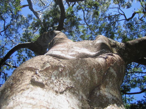 Arthur Riverfront And Sea Lodge Downstream - Great Ocean Road Tourism 32