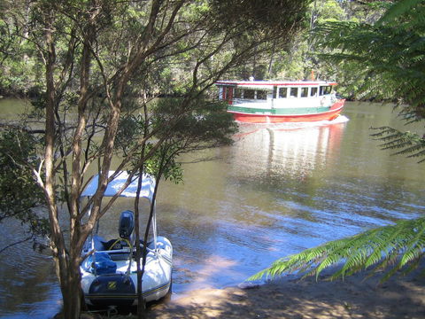 Arthur Riverfront And Sea Lodge Downstream - Great Ocean Road Tourism 26
