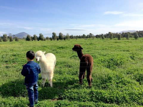 Taras Richmond Farmstay - Great Ocean Road Tourism 0