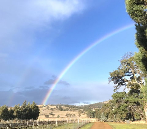 Taras Richmond Farmstay - Great Ocean Road Tourism 29