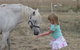 Taras Richmond Farmstay - thumb 19