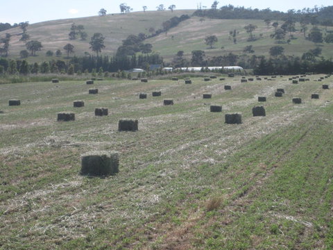 Taras Richmond Farmstay - Great Ocean Road Tourism 18