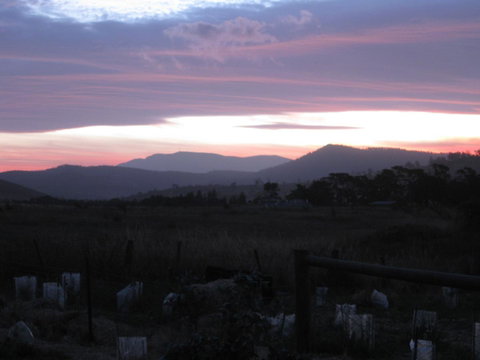 Taras Richmond Farmstay - Great Ocean Road Tourism 22