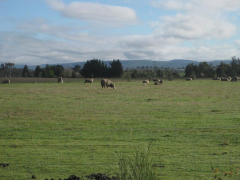 Taras Richmond Farmstay - Great Ocean Road Tourism 13
