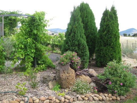 Taras Richmond Farmstay - Great Ocean Road Tourism 23