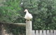 Taras Richmond Farmstay - thumb 16