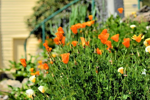 St. Pauls Bed & Breakfast - Great Ocean Road Tourism 44