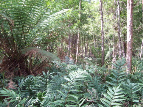 St. Pauls Bed & Breakfast - Great Ocean Road Tourism 15