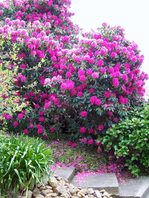St. Pauls Bed & Breakfast - Great Ocean Road Tourism 2