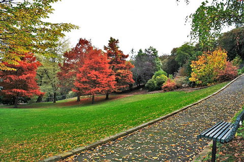 Apartment No 1 - Great Ocean Road Tourism 32