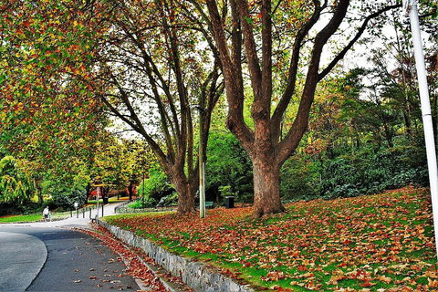 Apartment No 1 - Great Ocean Road Tourism 34