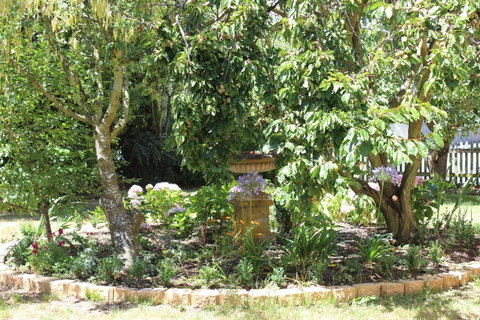 Bellamona - Great Ocean Road Tourism 23