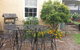 Bellamona - thumb 5