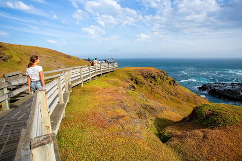 BIG4 Ingenia Holidays Phillip Island - Great Ocean Road Tourism 19
