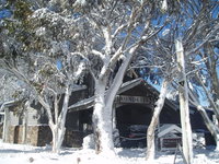 Book Dinner Plain Accommodation Vacations Great Ocean Road Tourism Great Ocean Road Tourism