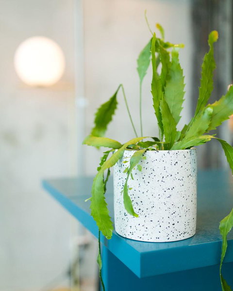 Sage Melbourne Ringwood - Great Ocean Road Tourism 36