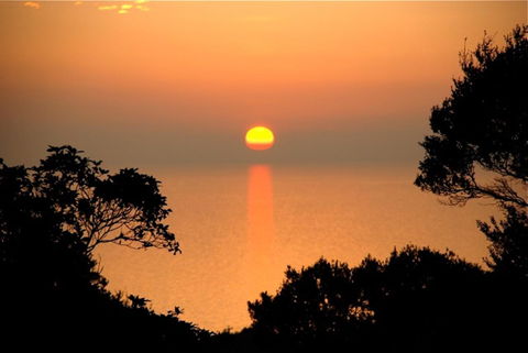Villa Mallorca - Great Ocean Road Tourism 41