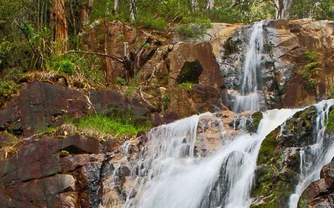 Marysville Caravan And Holiday Park - Great Ocean Road Tourism 37