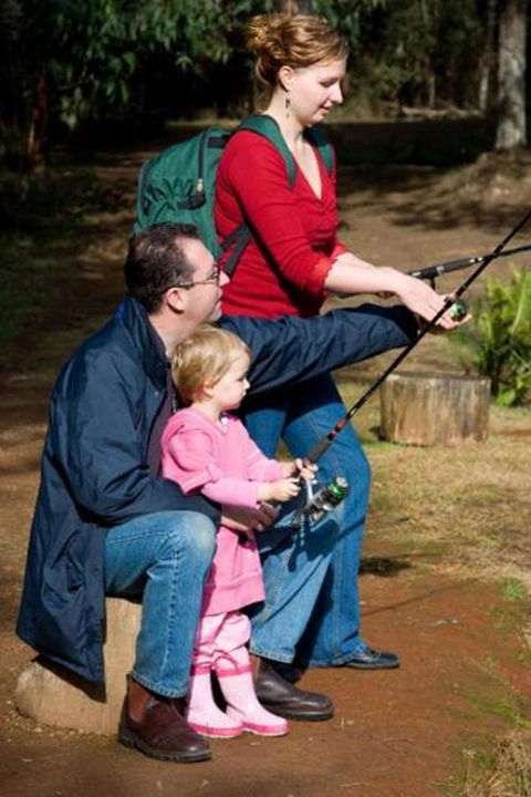 Marysville Caravan And Holiday Park - Great Ocean Road Tourism 22