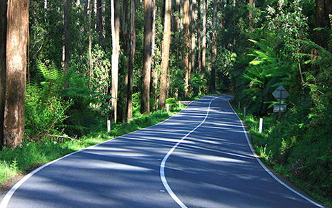 Marysville Caravan And Holiday Park - Great Ocean Road Tourism 40
