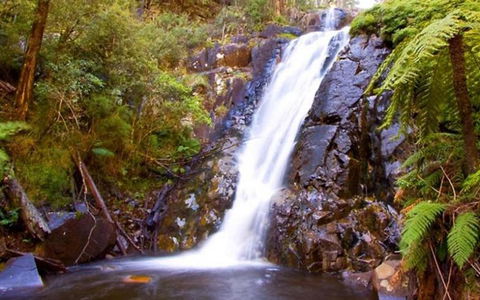 Marysville Caravan And Holiday Park - Great Ocean Road Tourism 32