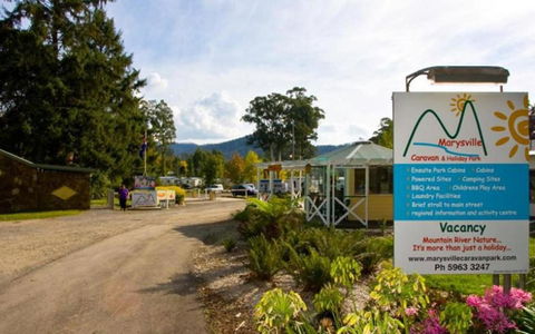 Marysville Caravan And Holiday Park - Great Ocean Road Tourism 33