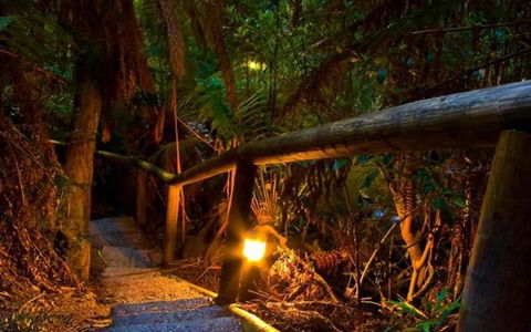 Marysville Caravan And Holiday Park - Great Ocean Road Tourism 27