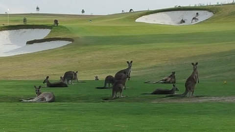 Yering Gorge Cottages - Great Ocean Road Tourism 10