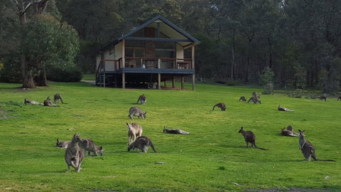 Yering Gorge Cottages - Great Ocean Road Tourism 6