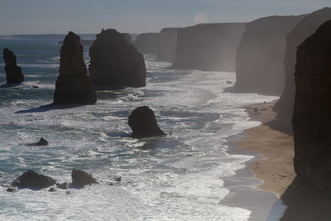 The Dolphin Apartments - Great Ocean Road Tourism 10