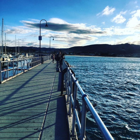 The Dolphin Apartments - Great Ocean Road Tourism 16