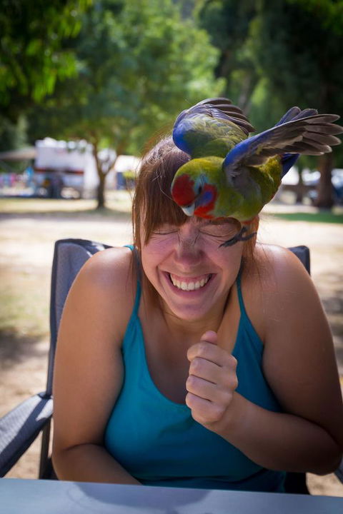 Halls Gap Lakeside Tourist Park - Great Ocean Road Tourism 5